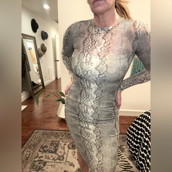 Bodycon, snakeskin print long sleeve dress. Sheer with slip attached - Picture 1 of 5